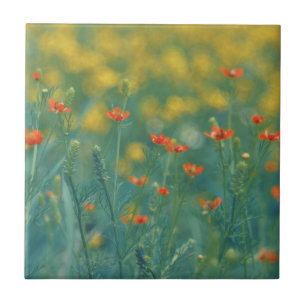 Azulejo Flores de verano (Campo floral) (Flores rojas)