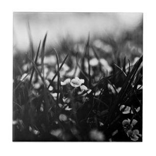 Azulejo Flores en el campo en primavera