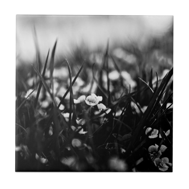 Azulejo Flores en el campo en primavera (Frente)