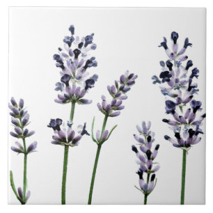 Azulejo Flores florales púrpuras de Lavendar el   en