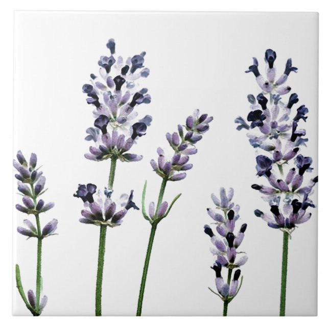 Azulejo Flores florales púrpuras de Lavendar el | en (Frente)