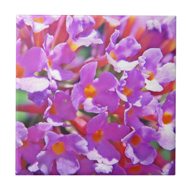 Azulejo Flores morenas raras (Frente)