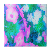 Flores Phlox en los jardines rosa, verde, azul y b