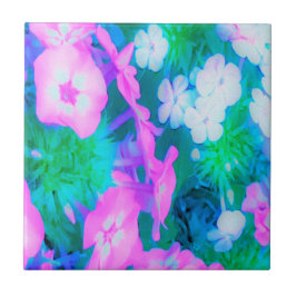 Azulejo Flores Phlox en los jardines rosa, verde, azul y b