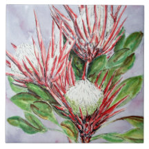 Flores Protea