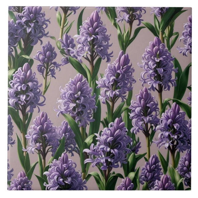 Azulejo Flores púrpura de Hyacinth holandesa (Frente)