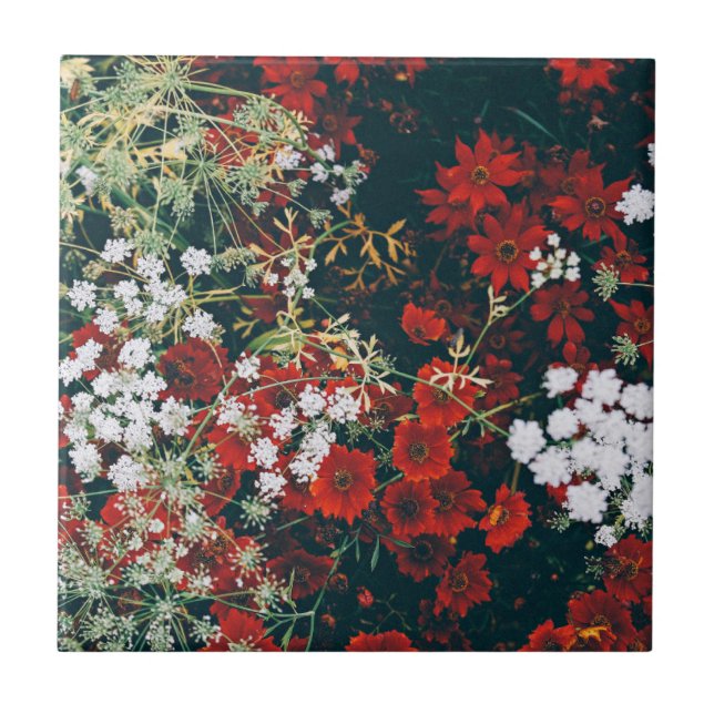Azulejo Flores rojas y blancas (Frente)