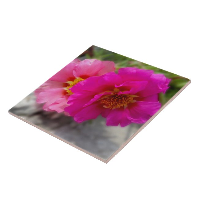 Azulejo Flores rosas al sol (Lado)