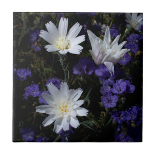 Azulejo Flores silvestres de achicoria y Phacelia
