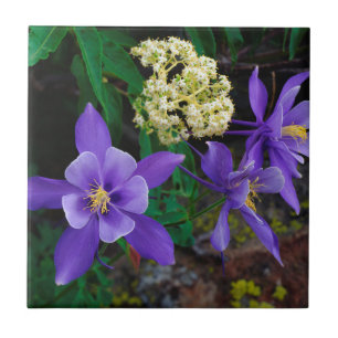 Azulejo Flores silvestres de columbina mutante