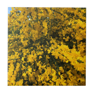 Azulejo Flores silvestres en el sendero, Oregón