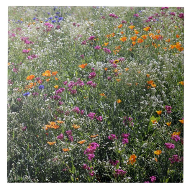 Azulejo Flores silvestres Tile grande de 6" x 6" (Frente)