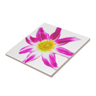 AZULEJO FLORES ÚNICOS EN MAGENTA, BLANCO Y ORO (FOTOG)