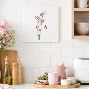 Azulejo Flores Vintage - Centaurium por Mary Vaux Walcott