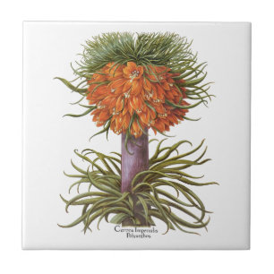 Azulejo Flores Vintage de Fritillaria Naranja Basilius Bes