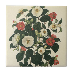 Azulejo Flores Vintage Florales, Rosas de Jardín Antiguas