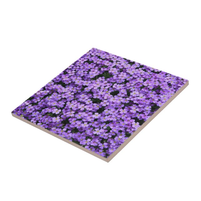 Azulejo Flores - Violetas - Hermosas (Lado)
