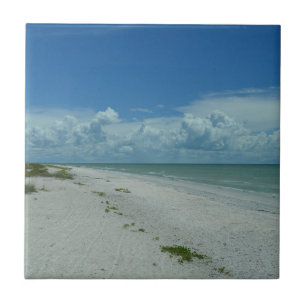 Azulejo Florida Beach Paradise Fotografía