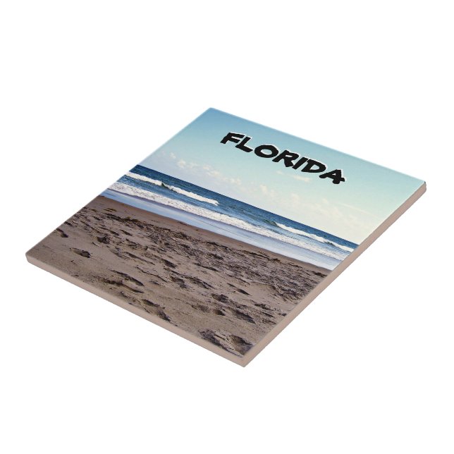 Azulejo Florida Coastal Shoreline Beach Scene (Lado)