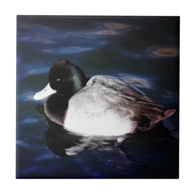 Azulejo Flotación con sol (Frente)