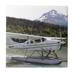 Azulejo Flote plano, lago trail, Alaska 3