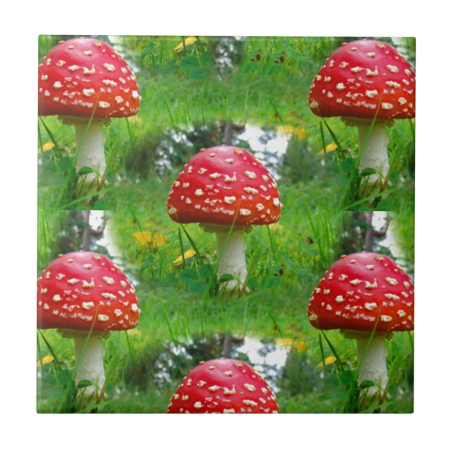 Azulejo Fly Agaric Mushrooms (Frente)