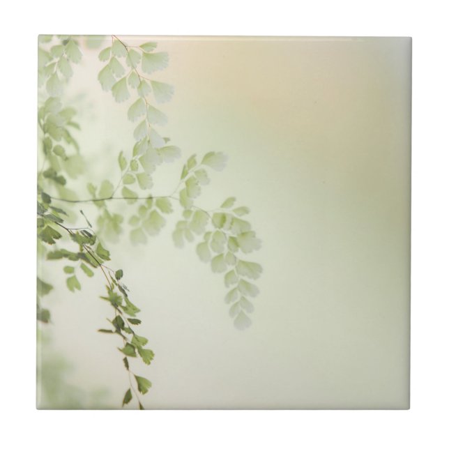Azulejo Foliage de primavera (Frente)