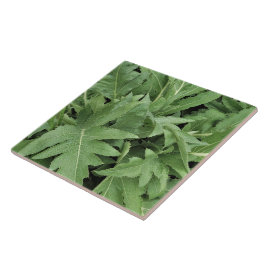Azulejo Follaje de Cardo