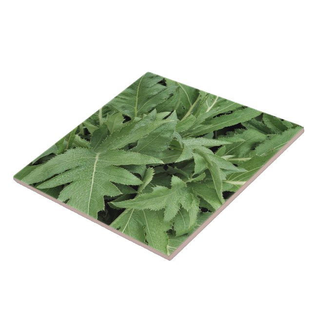 Azulejo Follaje de Cardo (Lado)