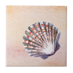 Azulejo Fondo de acuarela moderna Pintura de conchas marin