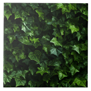 Azulejo Fondo de hiedra, hojas verdes, realismo naturalist