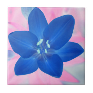 Azulejo Fondo rosa de la flor Neon Blue Lily