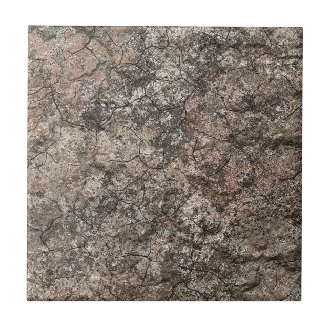 Azulejo Fondo seco agrietado de la textura de la planta (Frente)