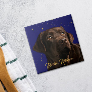 Azulejo Fondo Starry Sky de Labrador Recuperador Retrato
