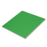 Azulejo fondo verde con borde blanco<br><div class="desc">La imagen es un cuadrado azul brillante con un color uniforme y una textura suave. Se destaca en el fondo con un sorprendente contraste visual.</div>