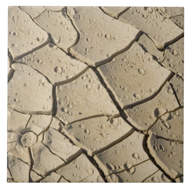Azulejo Formación de barro agrietado en el suelo del valle (Frente)