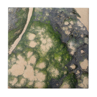 Azulejo Formación de roca de arenisca con musgo verde esme