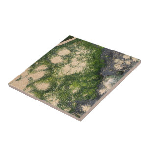 Azulejo Formación rocosa de arenisca con musgo esmeralda v