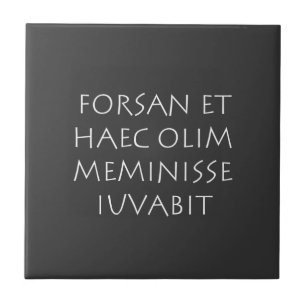 Azulejo Forsan et haec olim meminisse iuvabit