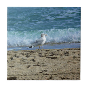 Azulejo Fort Lauderdale, Florida