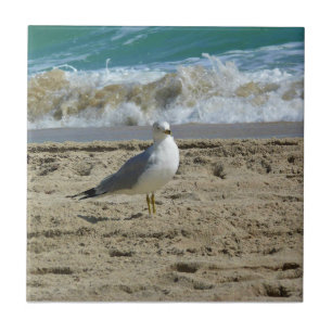 Azulejo Fort Lauderdale, Florida