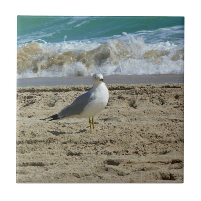 Azulejo Fort Lauderdale, Florida (Frente)