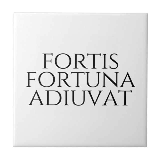 Azulejo Fortis Fortuna Adiuvat (Frente)