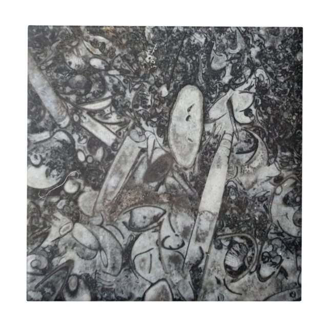 Azulejo Fósiles de ortoseras y goniatitas (Frente)