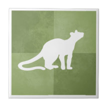Fossa Madagascar catlike carnivore verde