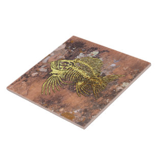 Azulejo Fossil Fish Ceramic Tile