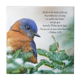 Azulejo Foto de Ceramic Eastern Bluebird Matthew 6:26