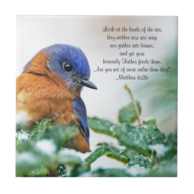 Azulejo Foto de Ceramic Eastern Bluebird Matthew 6:26 (Frente)