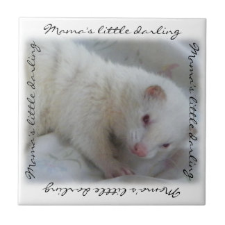 Azulejo Foto de Ferret albino blanco