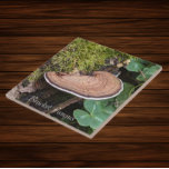 Azulejo Foto de la naturaleza del hongo del abrigo<br><div class="desc">¡Para los amantes de la naturaleza y las setas! Baldosa cerámica con la imagen de un hongo de abrigo,  también conocido como Shelf Fungus,  que crece en un tronco cubierto de musgo. Seleccione su tamaño de mosaico. ¡Hace un gran trivet de cocina!</div>
